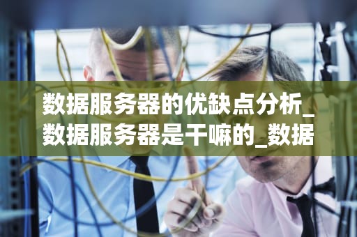 数据服务器的优缺点分析_数据服务器是干嘛的_数据服务器的优缺点分析