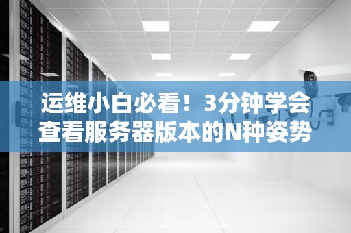 运维小白必看！3分钟学会查看服务器版本的N种姿势