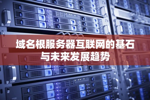 域名根服务器互联网的基石与未来发展趋势