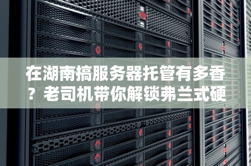 在湖南搞服务器托管有多香？老司机带你解锁弗兰式硬核托管指南