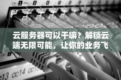 云服务器可以干嘛？解锁云端无限可能，让你的业务飞起来！