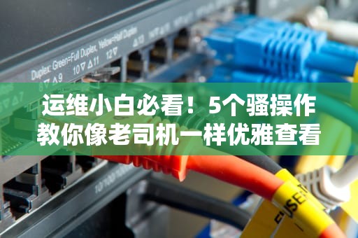 运维小白必看！5个骚操作教你像老司机一样优雅查看服务器