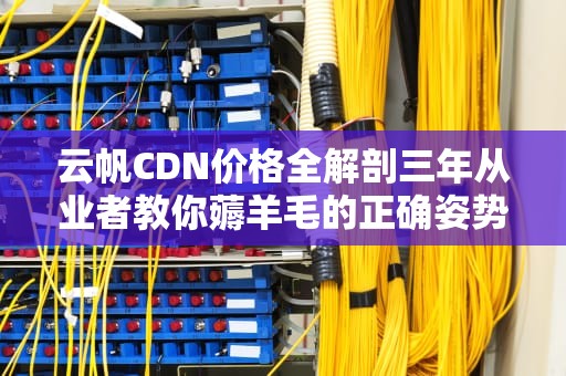 云帆CDN价格全解剖三年从业者教你薅羊毛的正确姿势（附省钱公式）