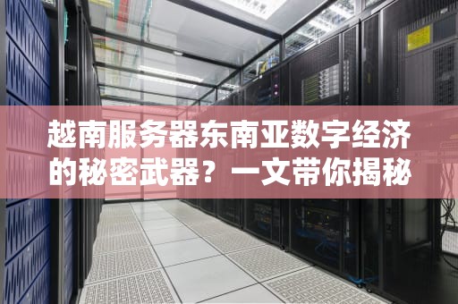 越南服务器东南亚数字经济的秘密武器？一文带你揭秘！