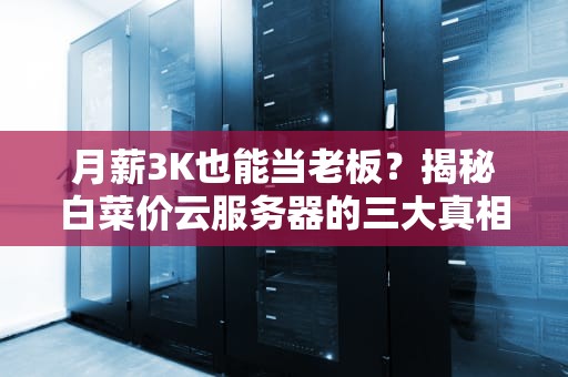 月薪3K也能当老板？揭秘白菜价云服务器的三大真相和五个深坑
