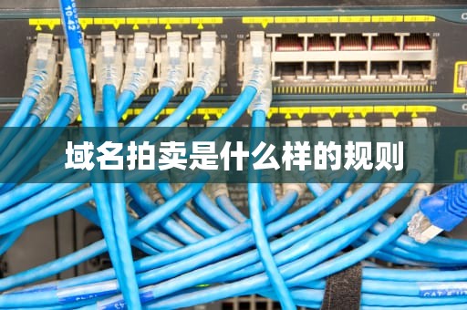 域名拍卖是什么样的规则