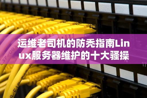 运维老司机的防秃指南Linux服务器维护的十大骚操作与避坑姿势
