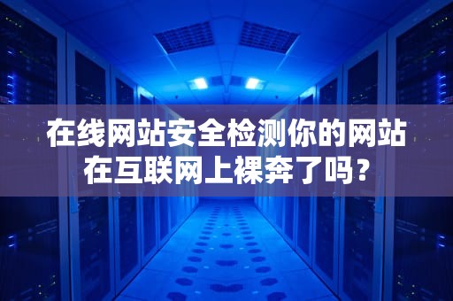 在线网站安全检测你的网站在互联网上裸奔了吗？