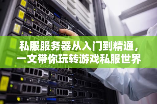 私服服务器从入门到精通，一文带你玩转游戏私服世界！