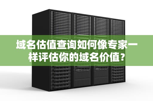 域名估值查询如何像专家一样评估你的域名价值？