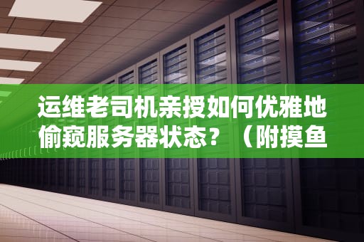 运维老司机亲授如何优雅地偷窥服务器状态？（附摸鱼必备技能）