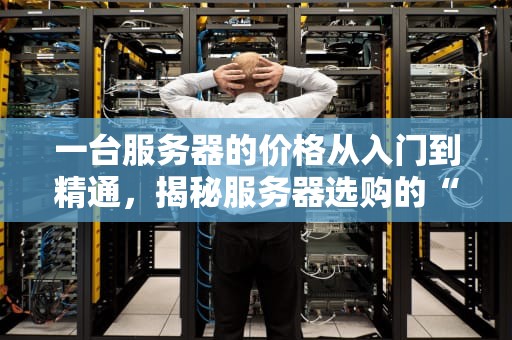 一台服务器的价格从入门到精通，揭秘服务器选购的“价格密码”