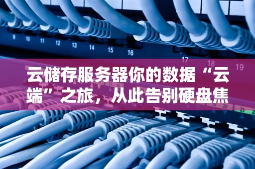 云储存服务器你的数据“云端”之旅，从此告别硬盘焦虑！