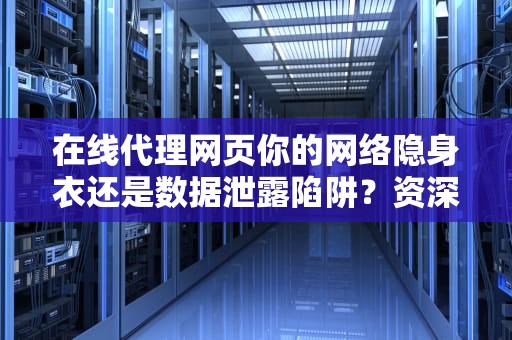 在线代理网页你的网络隐身衣还是数据泄露陷阱？资深工程师的避坑指南