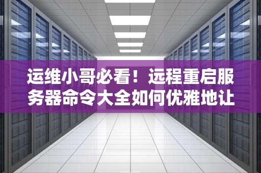 运维小哥必看！远程重启服务器命令大全如何优雅地让服务器起死回生？