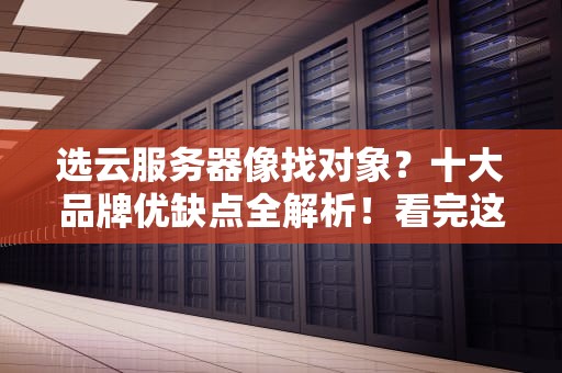 选云服务器像找对象？十大品牌优缺点全解析！看完这篇闭眼挑