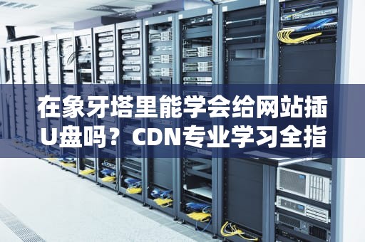 在象牙塔里能学会给网站插U盘吗？CDN专业学习全指南