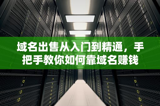域名出售从入门到精通，手把手教你如何靠域名赚钱