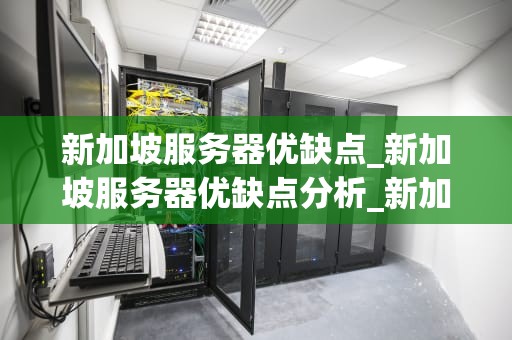 新加坡服务器优缺点_新加坡服务器优缺点分析_新加坡服务器的优缺点深度分析