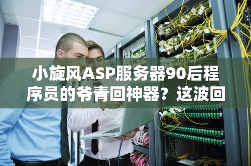 小旋风ASP服务器90后程序员的爷青回神器？这波回忆杀我给满分！