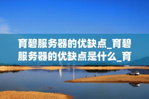 育碧服务器的优缺点_育碧服务器的优缺点是什么_育碧服务器的优缺点分析