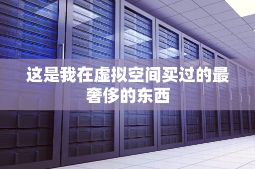 这是我在虚拟空间买过的最奢侈的东西