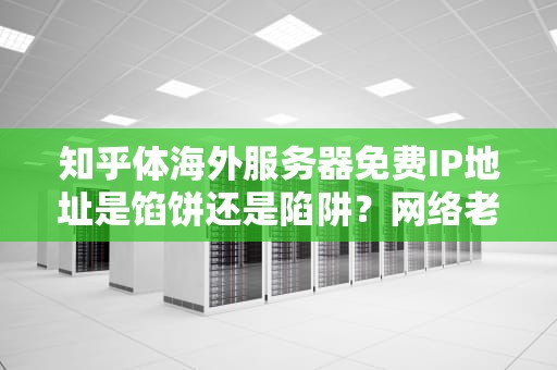 知乎体海外服务器免费IP地址是馅饼还是陷阱？网络老鸟含泪分享防坑指南