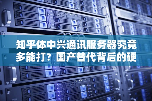 知乎体中兴通讯服务器究竟多能打？国产替代背后的硬核食堂大厨成长记