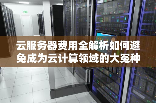 云服务器费用全解析如何避免成为云计算领域的大冤种？