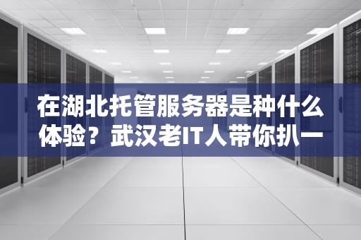 在湖北托管服务器是种什么体验？武汉老IT人带你扒一扒机房里的热干面