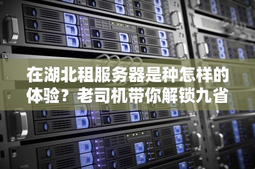 在湖北租服务器是种怎样的体验？老司机带你解锁九省通衢的硬核优势