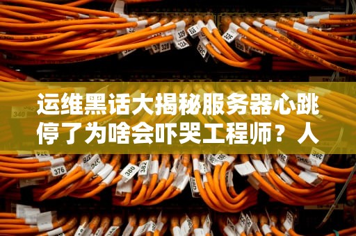 运维黑话大揭秘服务器心跳停了为啥会吓哭工程师？人类心跳对比太真实！