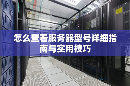怎么查看服务器型号详细指南与实用技巧