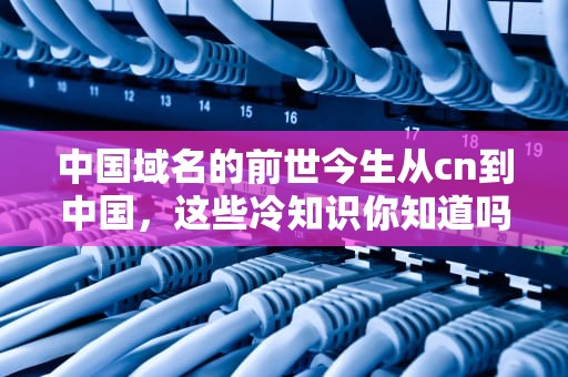 中国域名的前世今生从cn到中国，这些冷知识你知道吗？