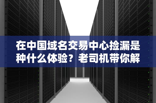 在中国域名交易中心捡漏是种什么体验？老司机带你解锁数字地产致富密码
