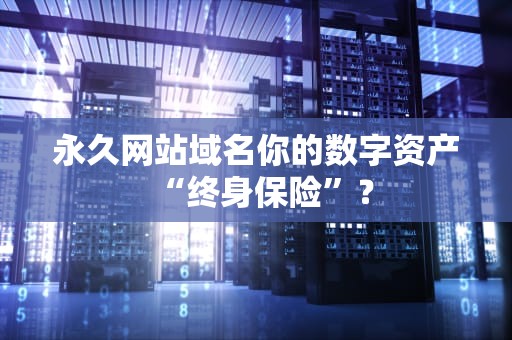 永久网站域名你的数字资产“终身保险”？