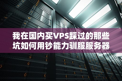 我在国内买VPS踩过的那些坑如何用钞能力驯服服务器小怪兽？