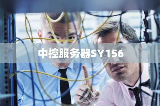 中控服务器SY156