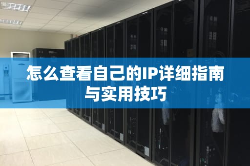 怎么查看自己的IP详细指南与实用技巧