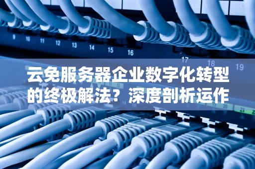 云免服务器企业数字化转型的终极解法？深度剖析运作原理与实战指南