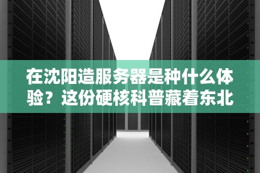 在沈阳造服务器是种什么体验？这份硬核科普藏着东北老铁的高科技密码