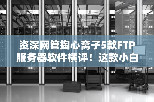 资深网管掏心窝子5款FTP服务器软件横评！这款小白也能玩出花