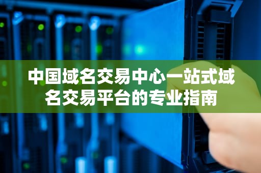 中国域名交易中心一站式域名交易平台的专业指南