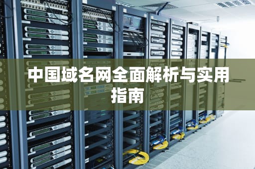 中国域名网全面解析与实用指南