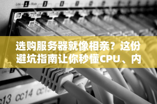选购服务器就像相亲？这份避坑指南让你秒懂CPU、内存、硬盘那些事儿