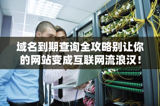 域名到期查询全攻略别让你的网站变成互联网流浪汉！