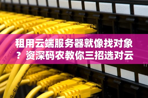 租用云端服务器就像找对象？资深码农教你三招选对云配偶！