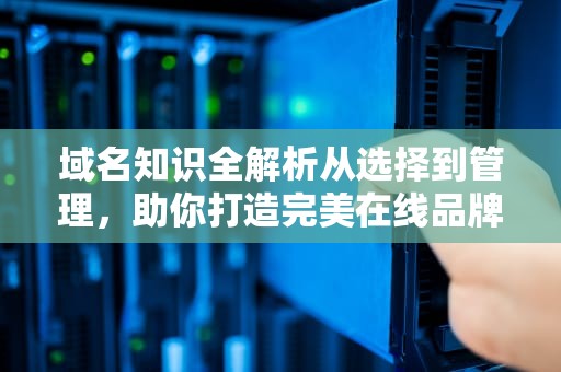 域名知识全解析从选择到管理，助你打造完美在线品牌