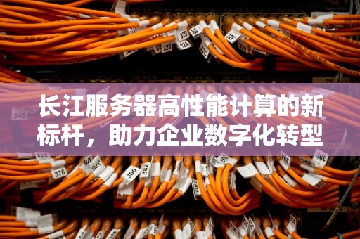 长江服务器高性能计算的新标杆，助力企业数字化转型