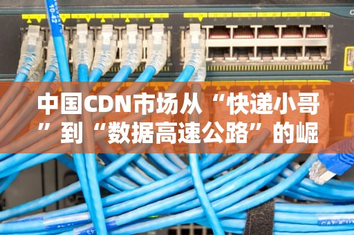 中国CDN市场从“快递小哥”到“数据高速公路”的崛起之路